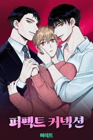 Perfect Connection Scan ITA